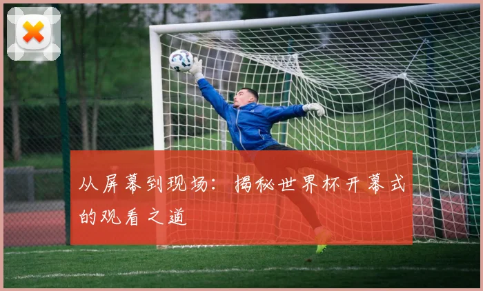 从屏幕到现场：揭秘世界杯开幕式的观看之道