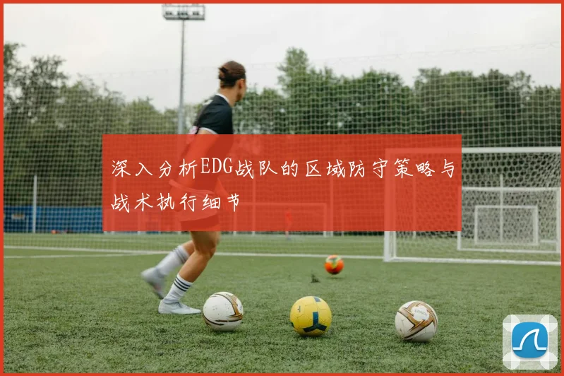 深入分析EDG战队的区域防守策略与战术执行细节