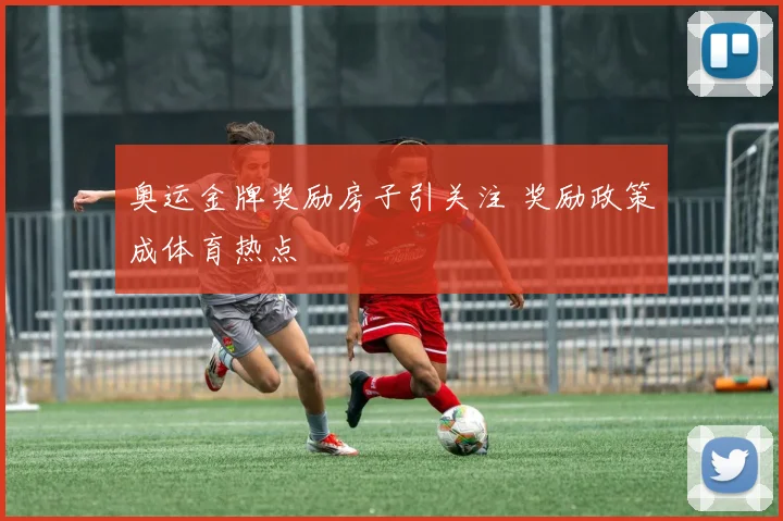 奥运金牌奖励房子引关注 奖励政策成体育热点