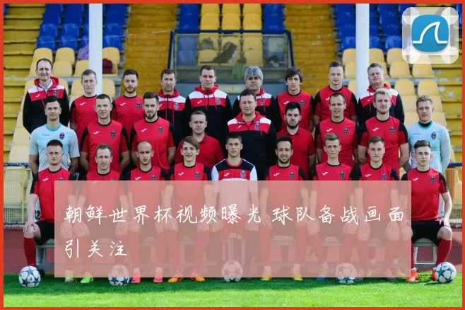 朝鲜世界杯视频曝光 球队备战画面引关注